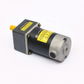 90V 25W Permanent Magnet DC Gear Motor